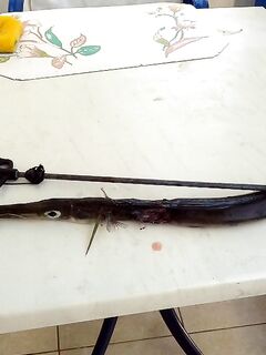 Две недели Фалираки: груз у крючка, хлеб и уха