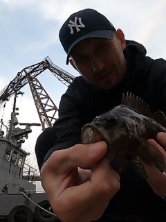 Рокфишинг Приморья: мебару и характер поклёвки