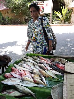Андаманы — запрет брать туристов и «грязная» лодка за копейки