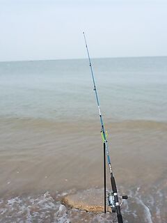 Должанская с берега: мелкая тарань и бычок, вывод жёсткий