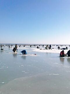 Зима — радость, короткая заметка с берега