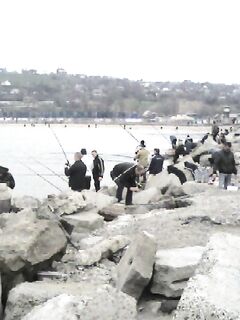 Мариуполь — бычок пошёл, насадки мясо и кальмар