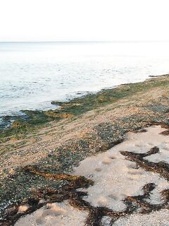 Пересыпь: каналы, спор с «собственником» и улов на булочку