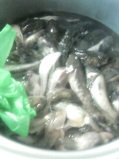 Май-июнь — море и аренда ВДХ, чужой отчёт зацепил