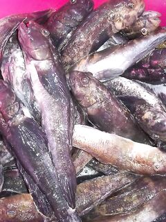 Фото не вышли, пару кадров всё таки спас