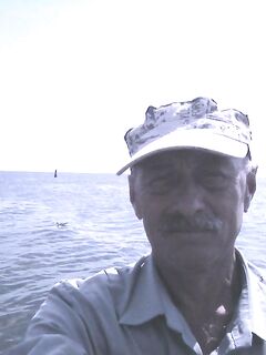 Пеленгас вялый, морской червь дефицит, тарань чистая