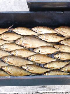 Ейский лиман — вкусно коптить, но лучше вялить