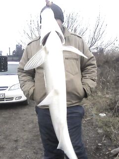 Камбала на «песчаника», старые места Еланчик и Миус