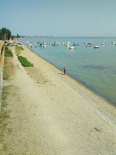 Ейск из окна: увидел рыбу у берега и собрал лодку