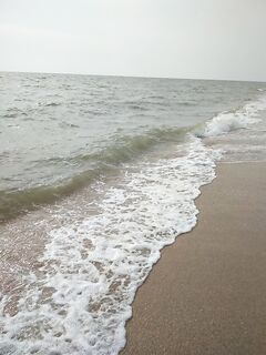 Потрошил сразу на берегу, чайки аплодировали