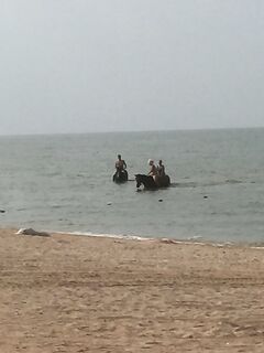 Прикорм по месту: что сработает по таранке?