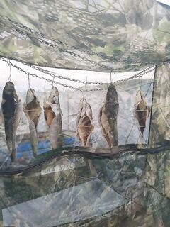 Нереис и зелёные поплавки: дистанция 50-70 м, вечер лучше