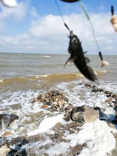 Ейск, два фидера и вопрос по Должанке — морская рыбалка рядом