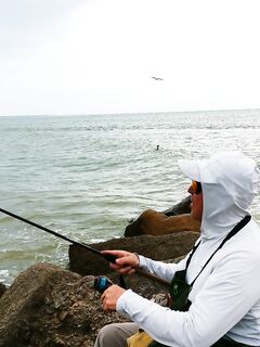 Ейская коса, лайт-фидер и тарань «как из пулемёта»