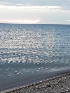 Пеленгас до трёх кило в Должанской на Азовском море