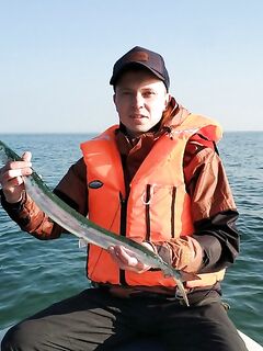 Калининград, сарган порадовал — вернусь за судаком