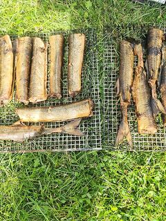 Балтика, финал темы — короткая отметка