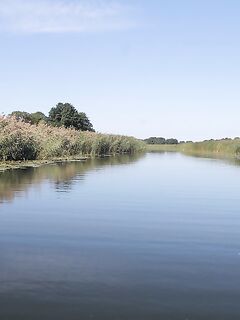 Балтика, морская рыбалка на косе: идея последних дней лета