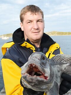 Нордкап в Норвегии — несколько фото после выезда