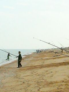 Пеленгас на Арабатской Стрелке — семейный отдых плюс рыбалка