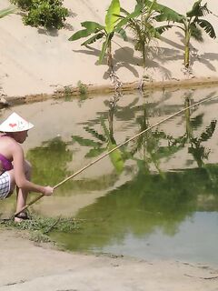 Фантьет: платник, бамбук и кувшин холодного Сайгона