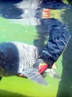 Свободные места на плато Путорана — даты 25.07–01.08