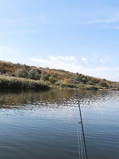 Украина, Николаев: осенний окунь и уха