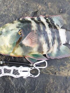 Мусанддам: обещанные фото без комментариев