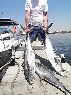 Аджман: троллинг и морская рыбалка по кингфишу 25-32 кг