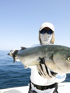 Южный Оман, Халаният: морская рыбалка, кастинг и вертикальный джиг