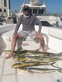 Фуджейра 12 ноября: туна, махи и парус на троллинге