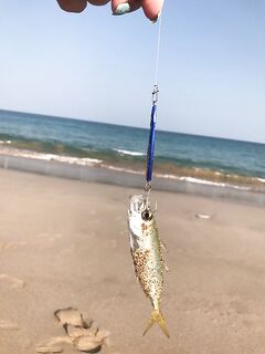 Дубай и Фуджейра: городская морская рыбалка и тихий уголок