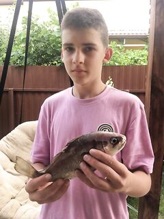 Геленджик, Чёрное море: рыбалка у рифа и ставрида