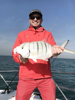 Дубайская рыбалка с новичками, донка и первый кастинг