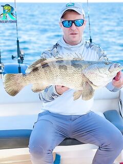 Когда барракуда вяла, хамур выручает в Дубае