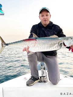 Кингфиш радует в дубайских водах, короткая пометка