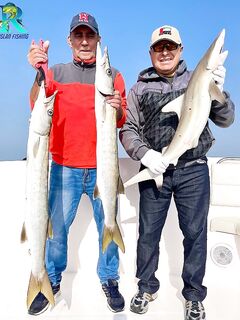 Новые трофеи в Дубае без лишних слов