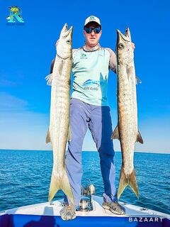 Январь в Дубае — лучший по барракуде, вода ~21 °C и движение решает