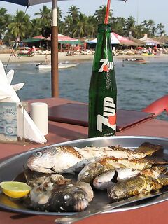 ГОА: хлеб в Newton, мули и обмен снастей у SunSet