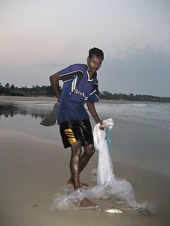 Кефаль и «одно семейство», короткий ответ