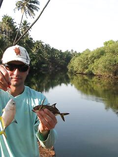ГОА: морская рыбалка у устьев, баракуда сошла и поиск ключа