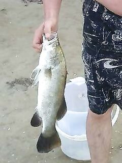 Неделя у Ашвема — рыбалка дважды в сутки и финальный прилив