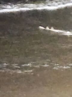 Устье реки Сал, вечер: тяжёлый комплект и луч света в прибой