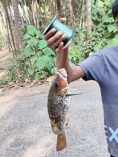 ГОА, точка с «пионером»: виброхвост на джиг-головке