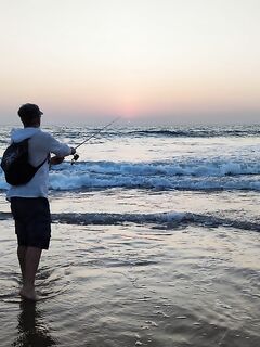 ГОА, финальный день: скормлю креветки и домой