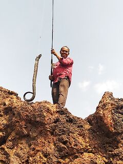 ГОА, где стартовать и по каким правилам?