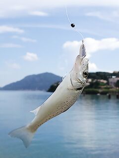 Греция, дамба у аэропорта: хлеб, улитки и Orka 1.5"