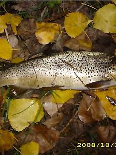 Сводка обновлений по Каталунии — добавлены прошлые выезды