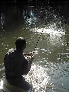 Новые отчёты: морская рыбалка и река в одном сборнике