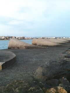 Ставрида: короткая заметка по снастям